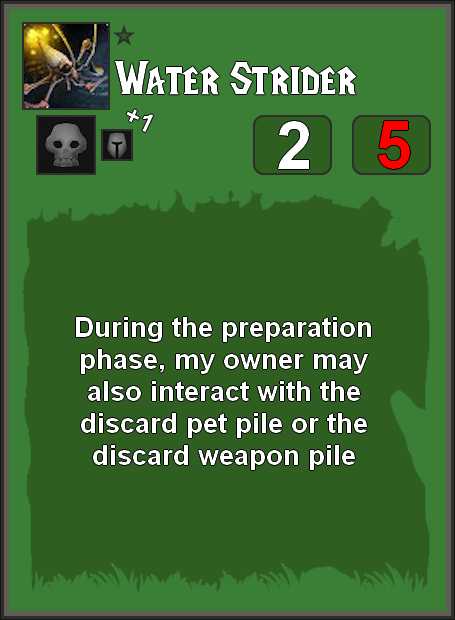 Water Strider